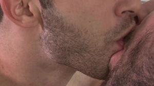 DrillMyHole: Anal, BJs & More