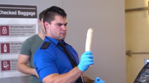 DrillMyHole: Ask a question to pique curiosity