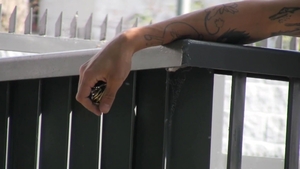 LatinLeche: On-Camera Seduction