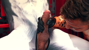 Oral Olympics for these Gay Hunks