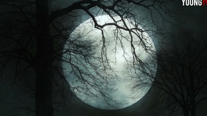 Spike Wheel Play with an Insatiable Mommy