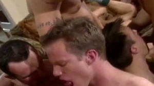 background forFalcon Studios