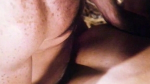 Falcon Studios: Barnyard Bareback Bonanza